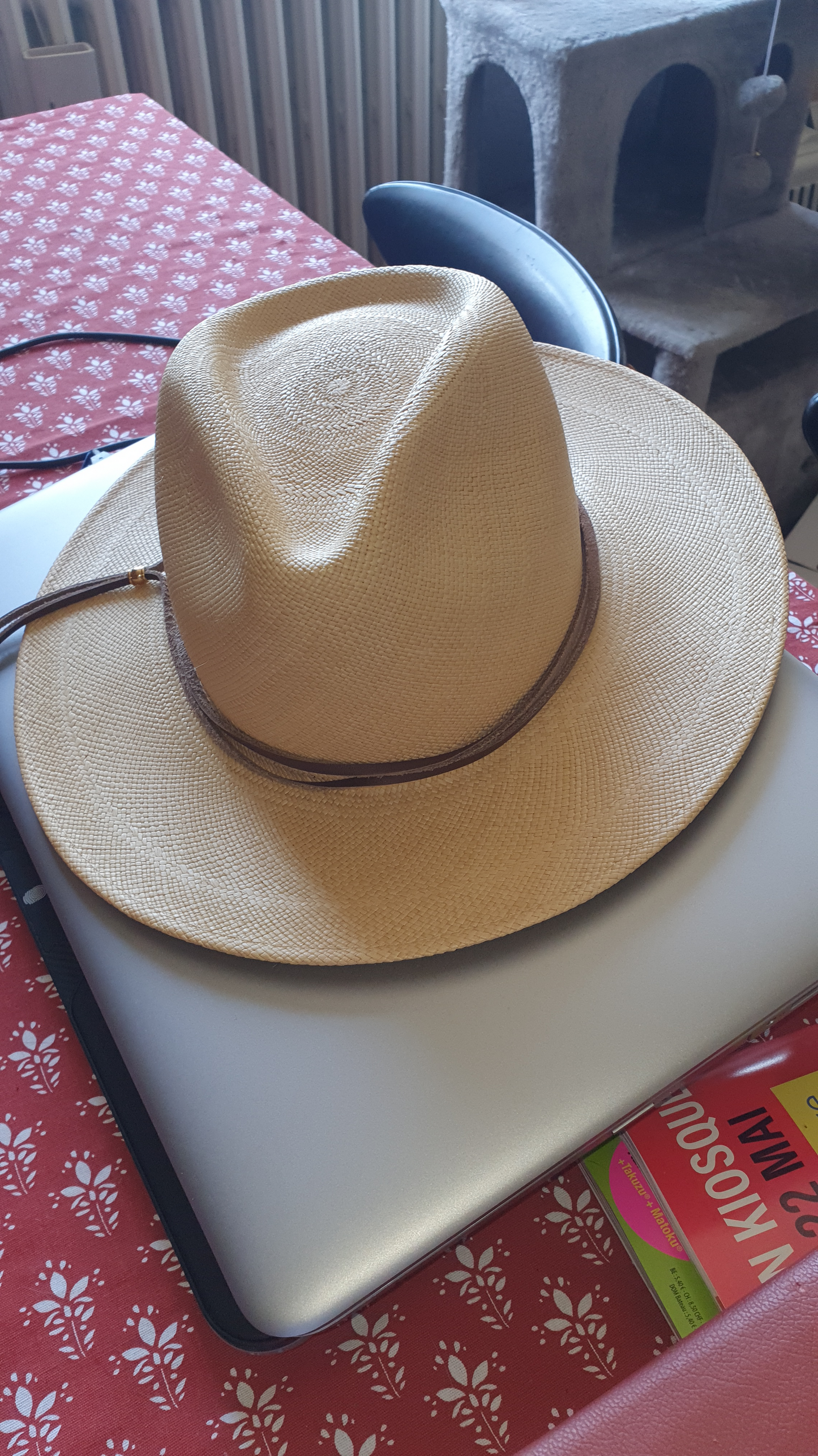 Le Chapeau Fedora