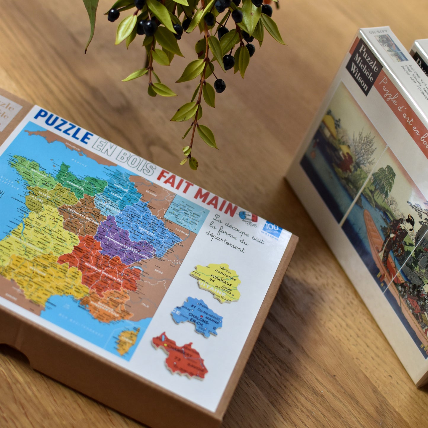 Puzzle Michèle Wilson - Carte de France des Départements