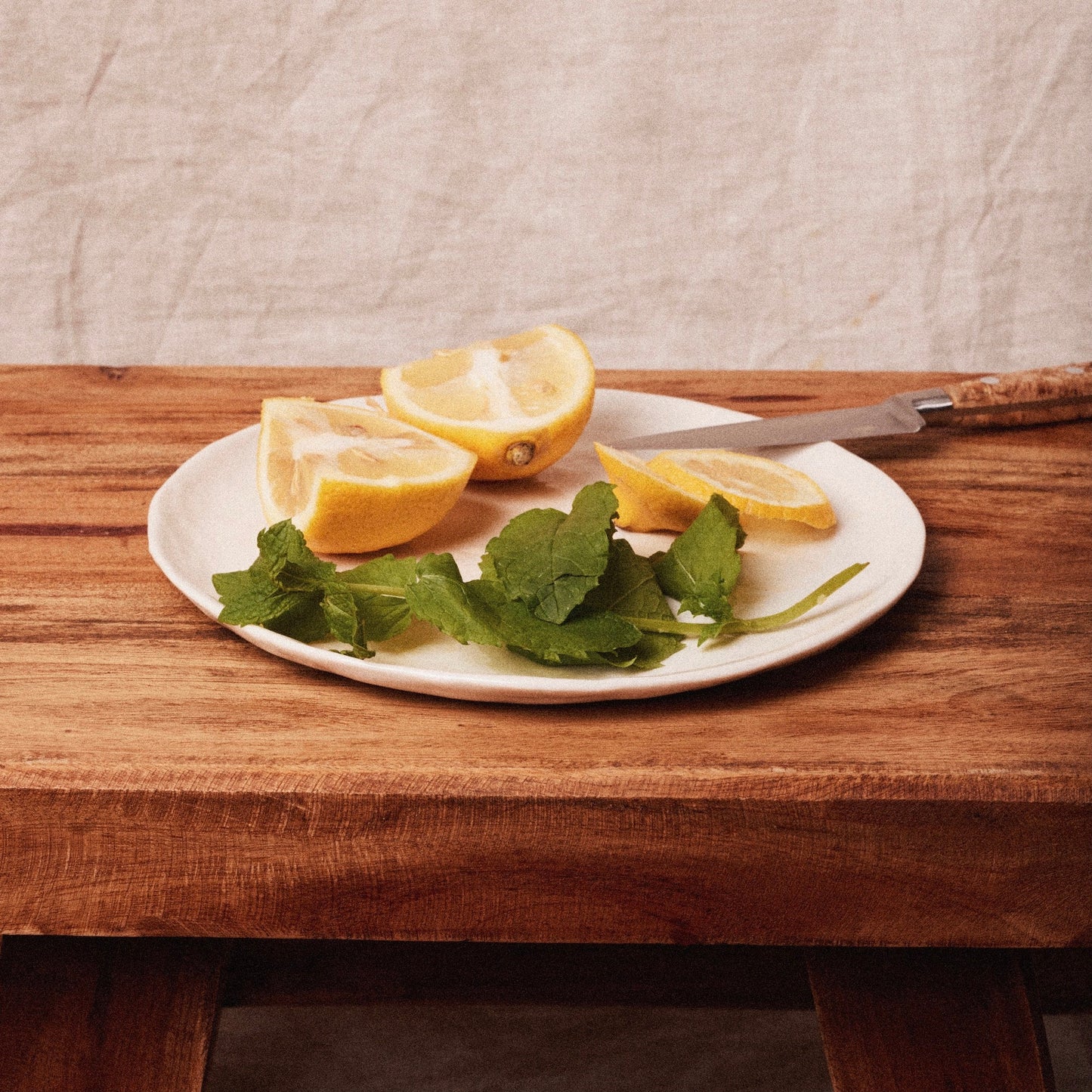 Revol - Le Pack de 6 Petites Assiettes Yli