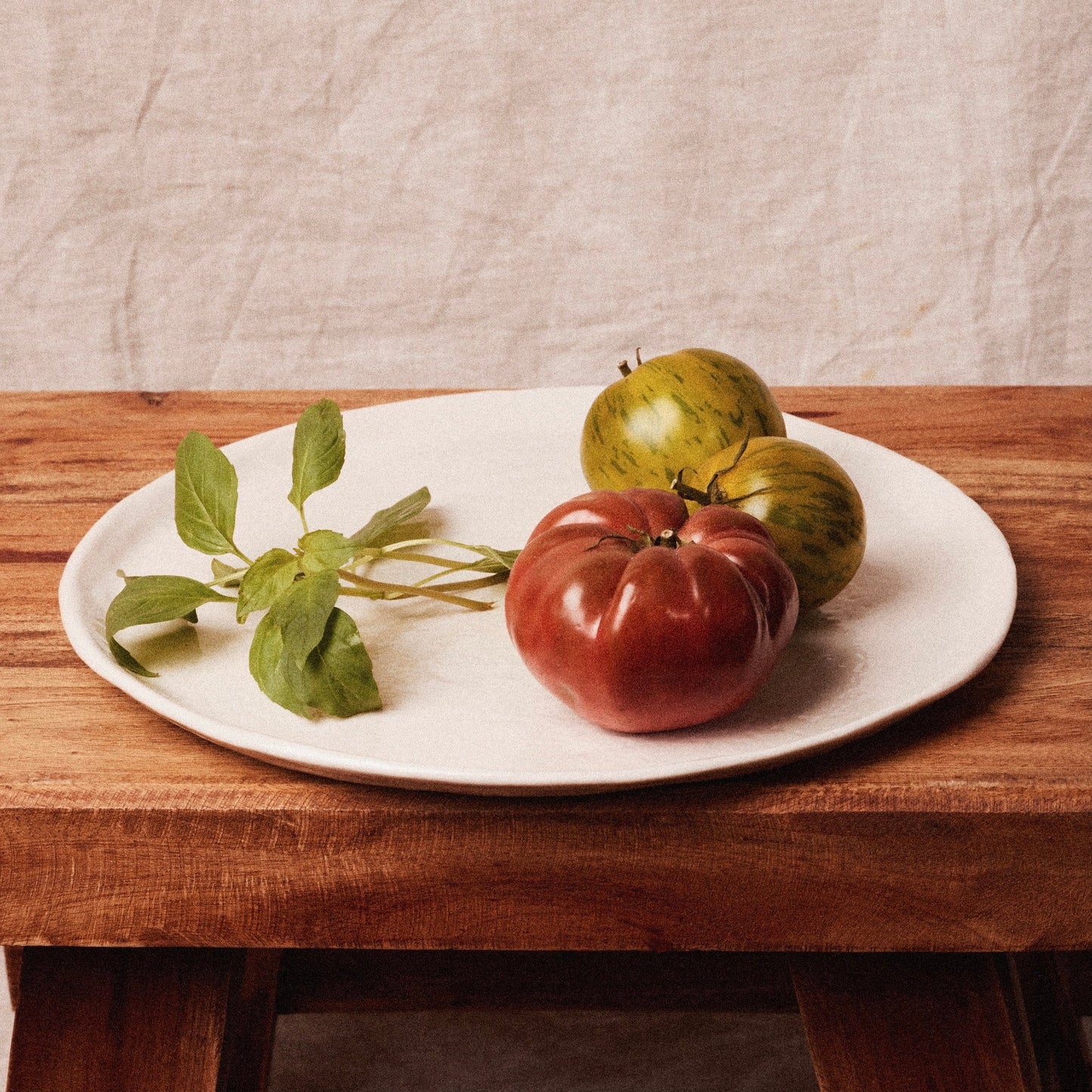 Revol - Le Pack de 6 Grandes Assiettes Yli