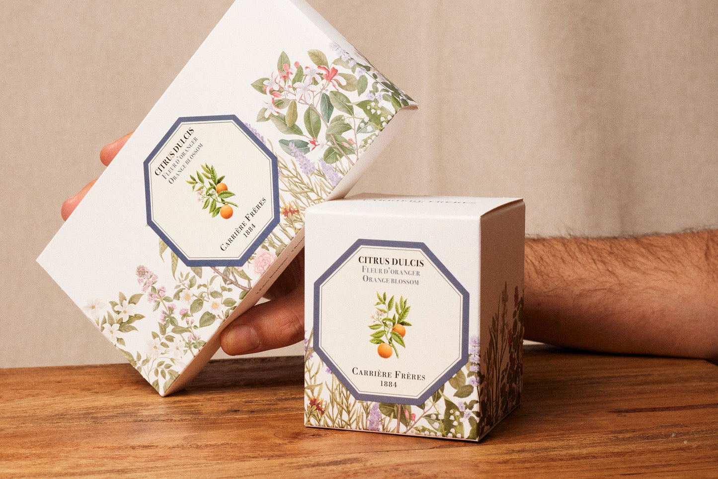 Carrière Frères - Les Palets Botaniques