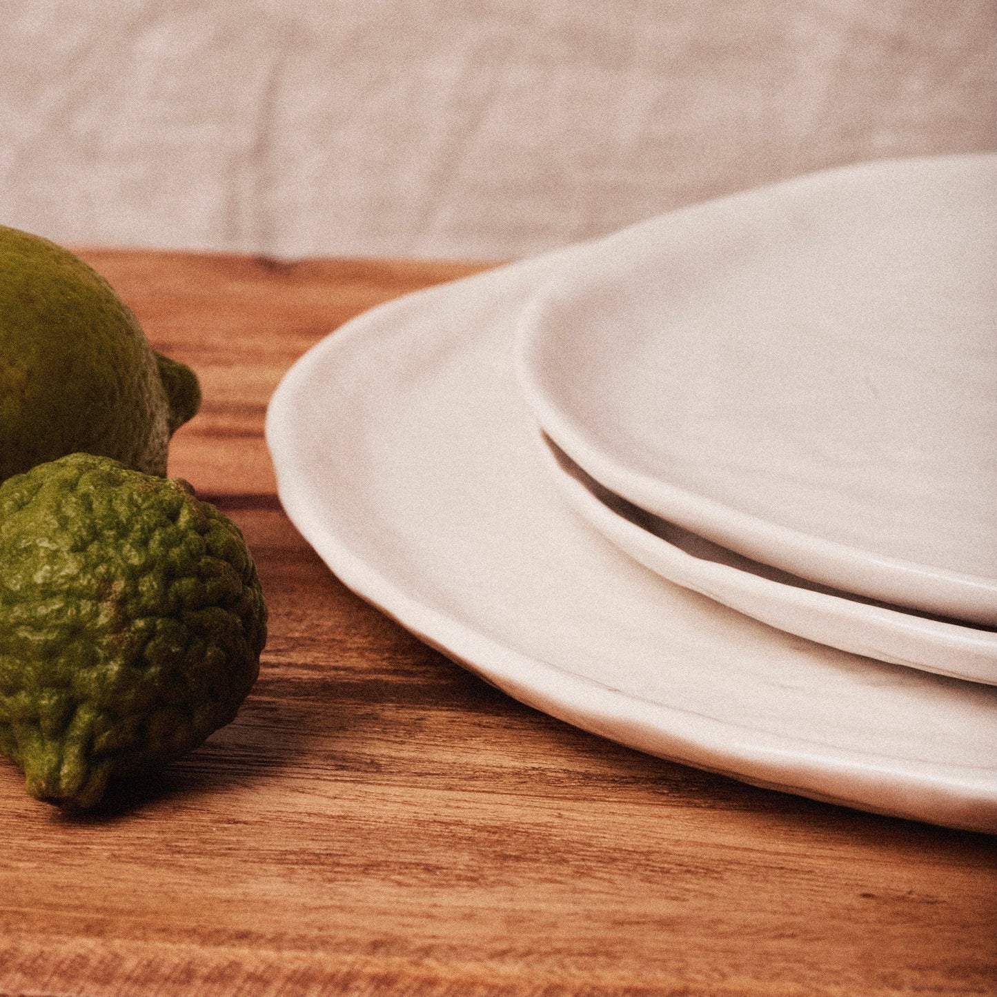 Revol - Le Pack de 6 Grandes Assiettes Yli