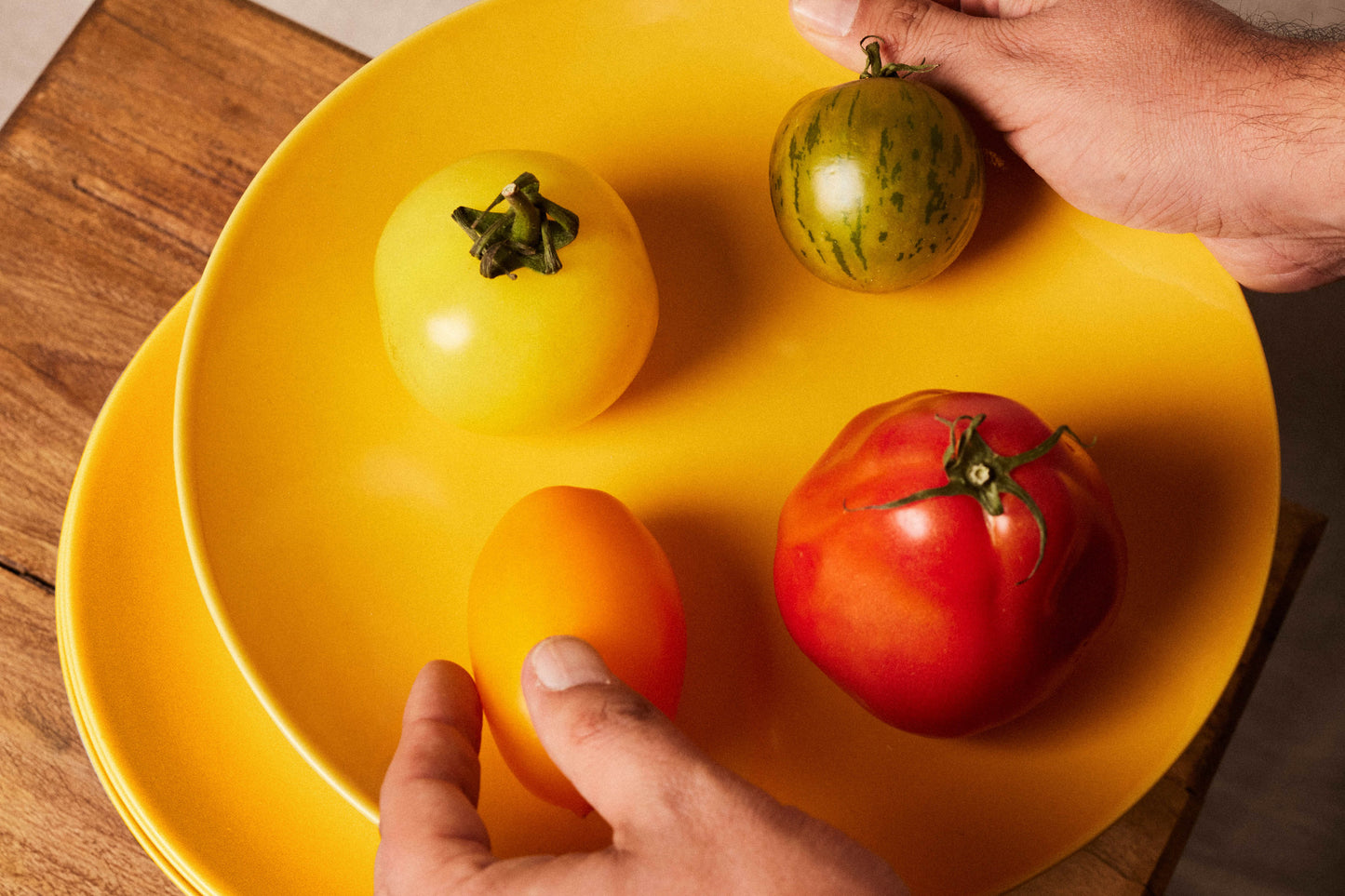 Ogre La Fabrique - Pack 4x Grandes Assiettes