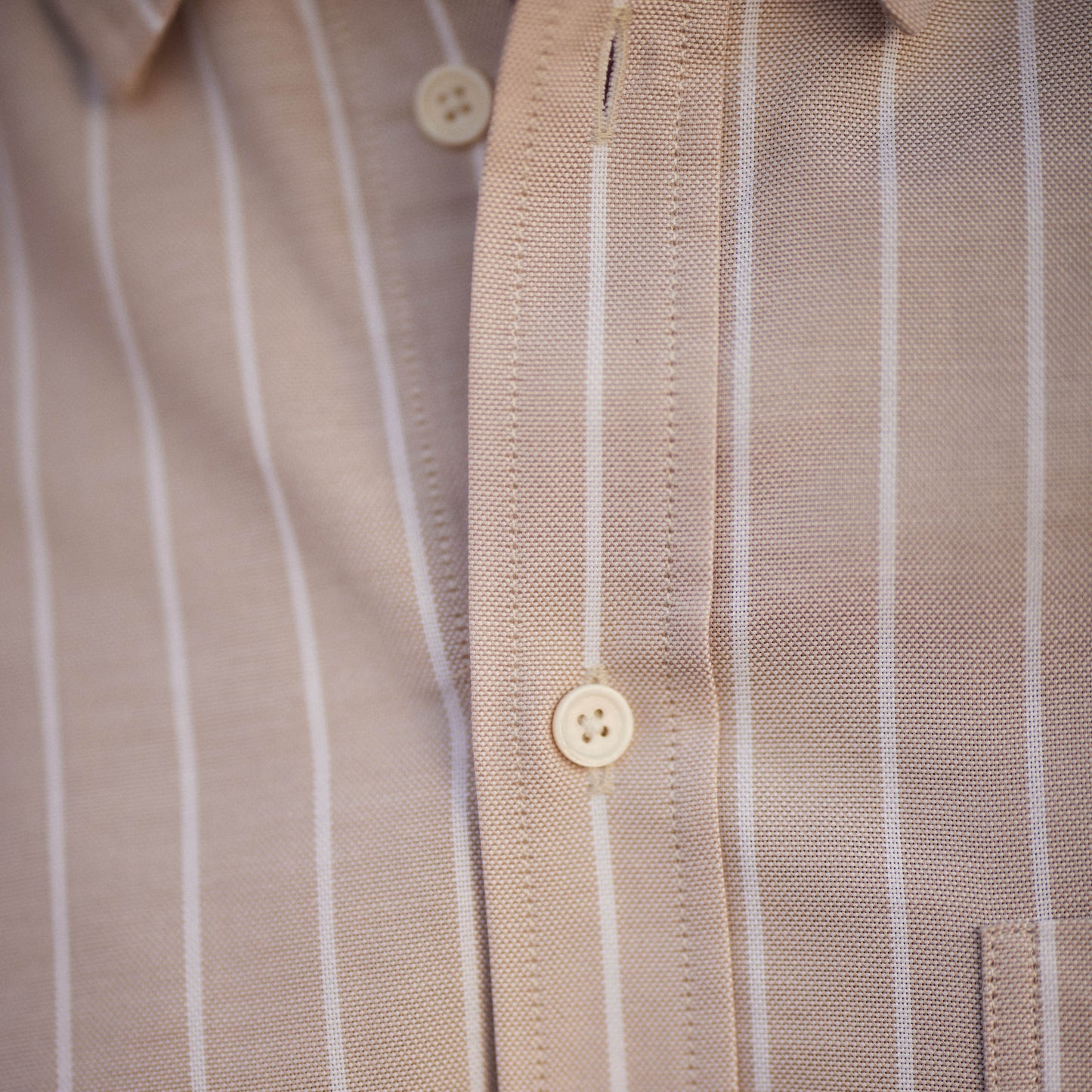 La Chemise Oxford Oeko-Tex Homme