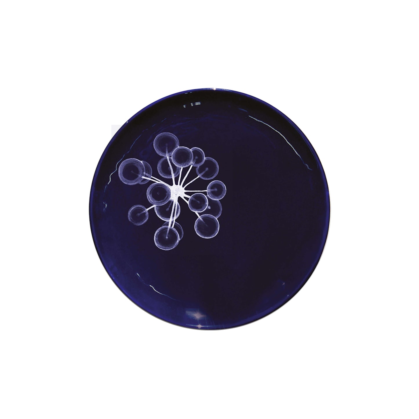 Le Set de 6 Petites Assiettes Abyss