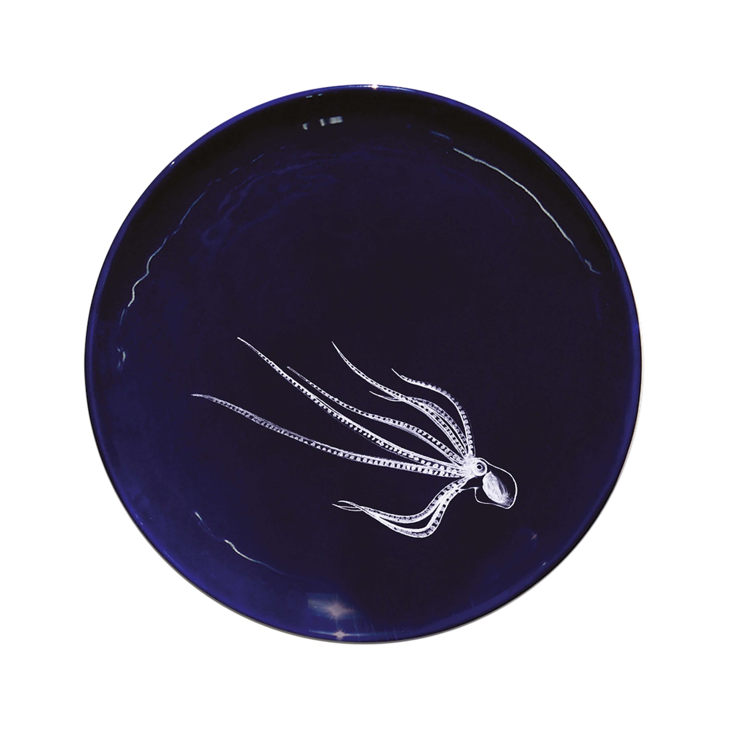 Le Set de 6 Grandes Assiettes Abyss