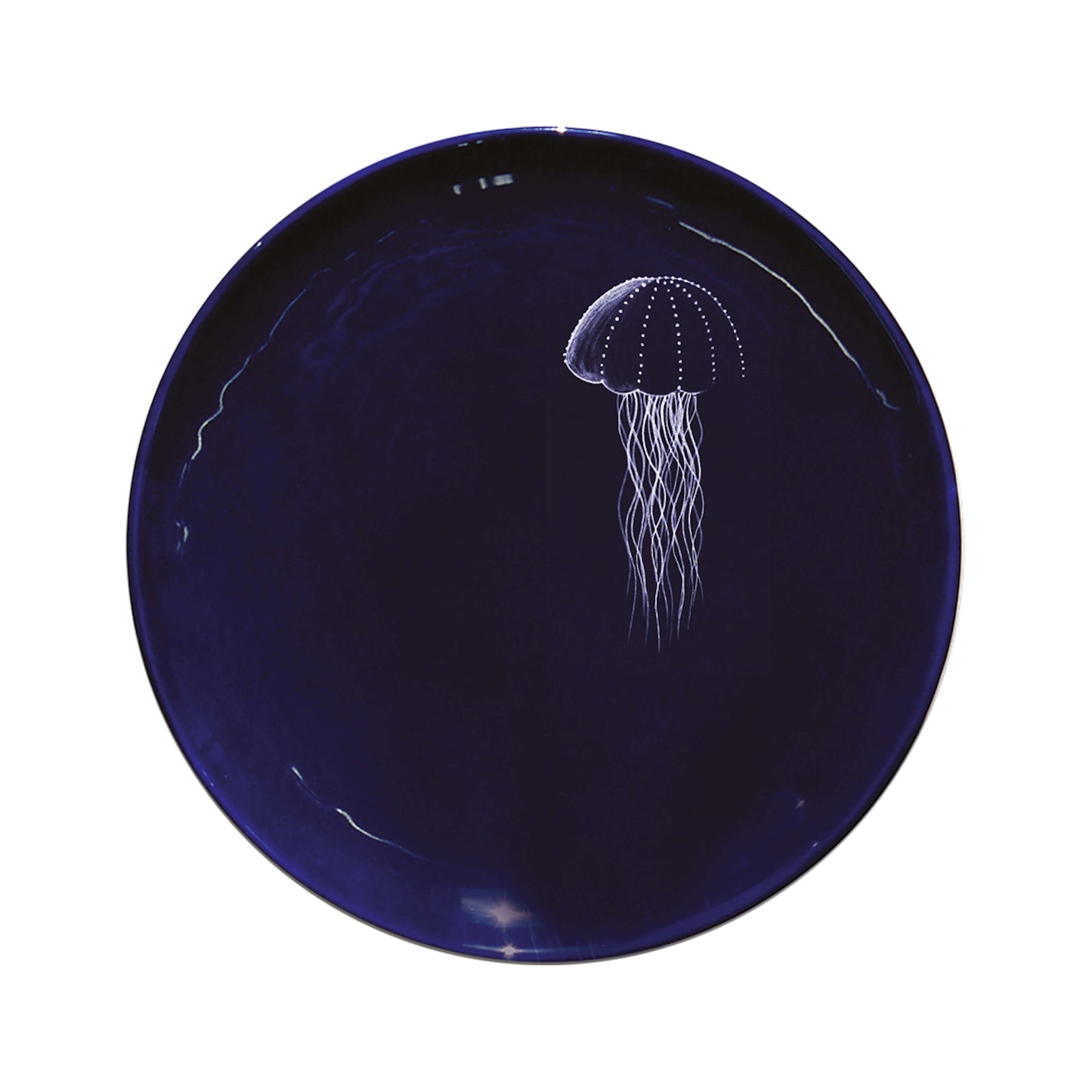 Le Set de 6 Grandes Assiettes Abyss