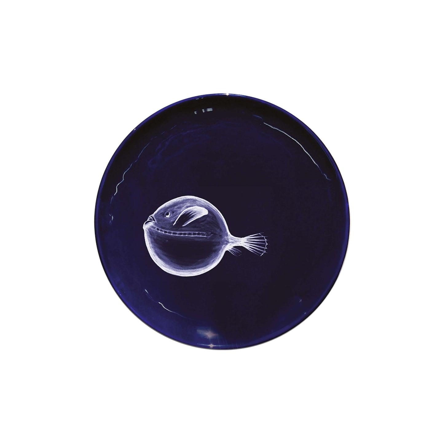 Le Set de 6 Petites Assiettes Abyss