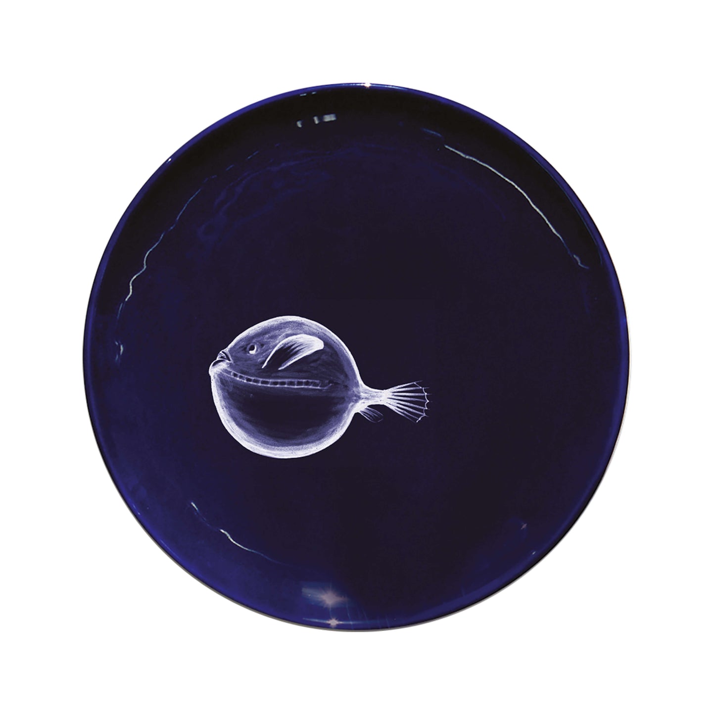 Le Set de 6 Grandes Assiettes Abyss
