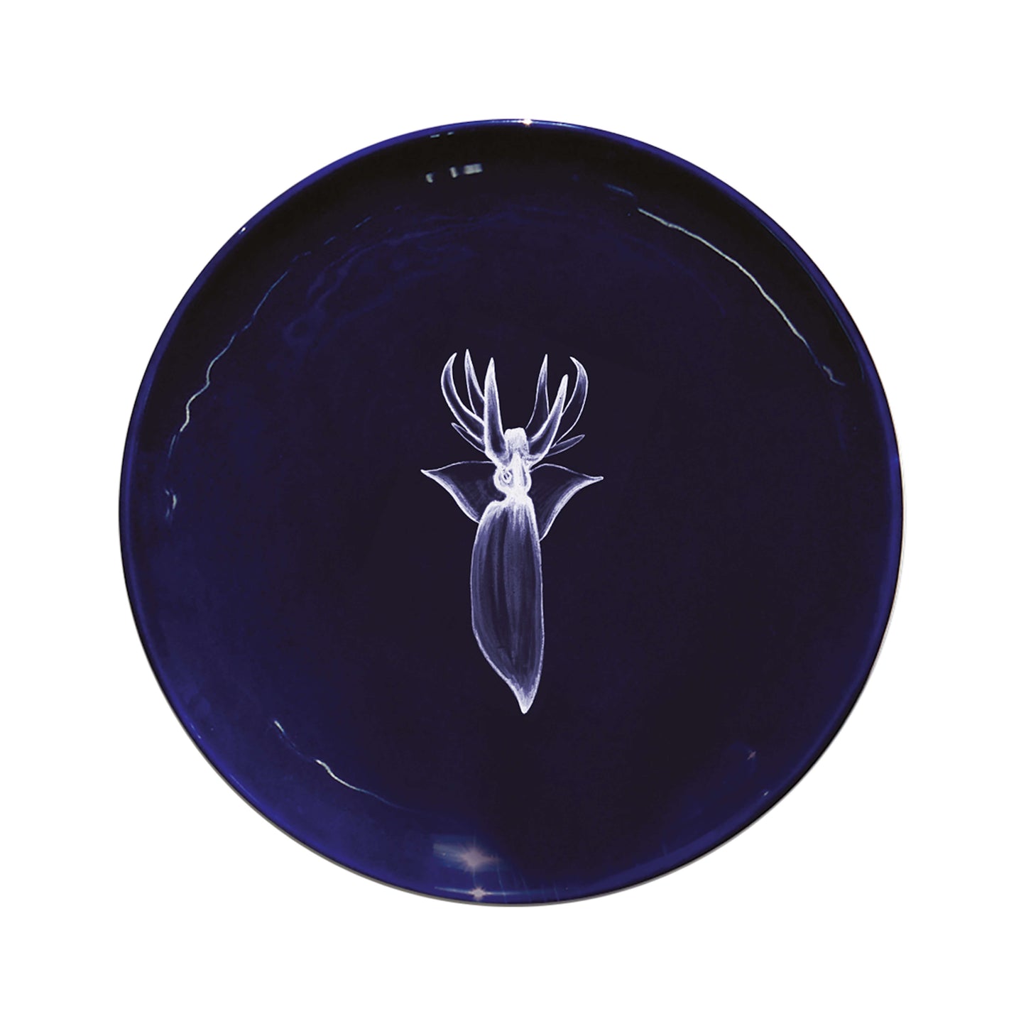Le Set de 6 Grandes Assiettes Abyss